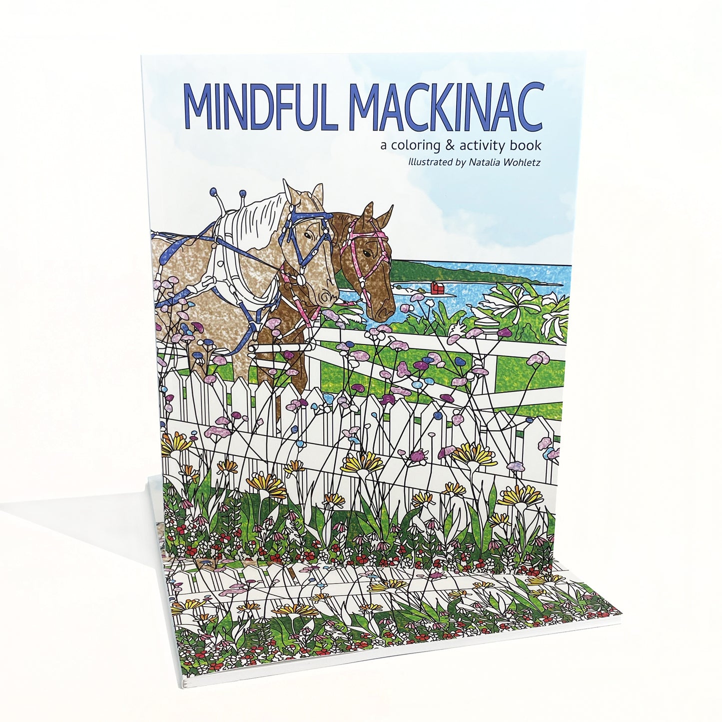 Mindful Mackinac Coloring Book