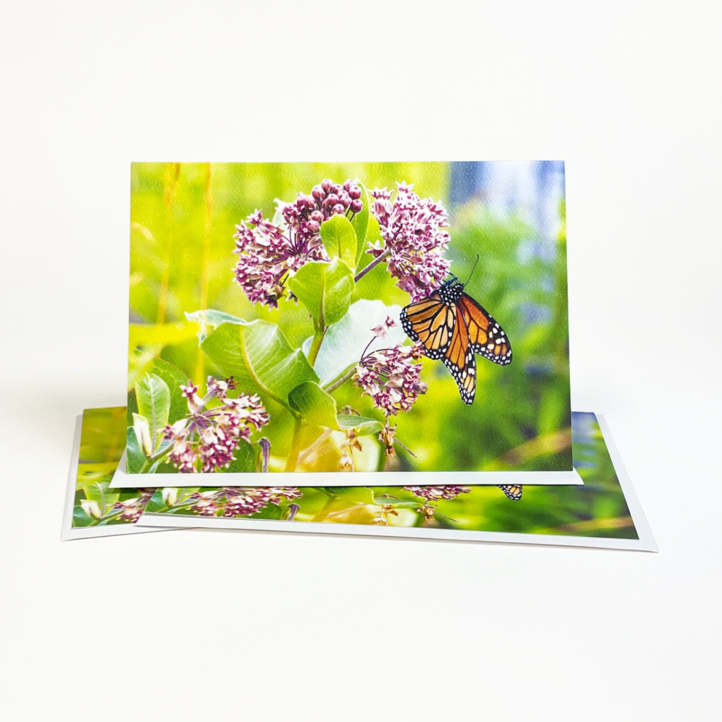 A casually elegant greeting card designed to be shared or displayed as a work of art. Featuring photographs of a monarch butterfly, caterpillar and milkweed.