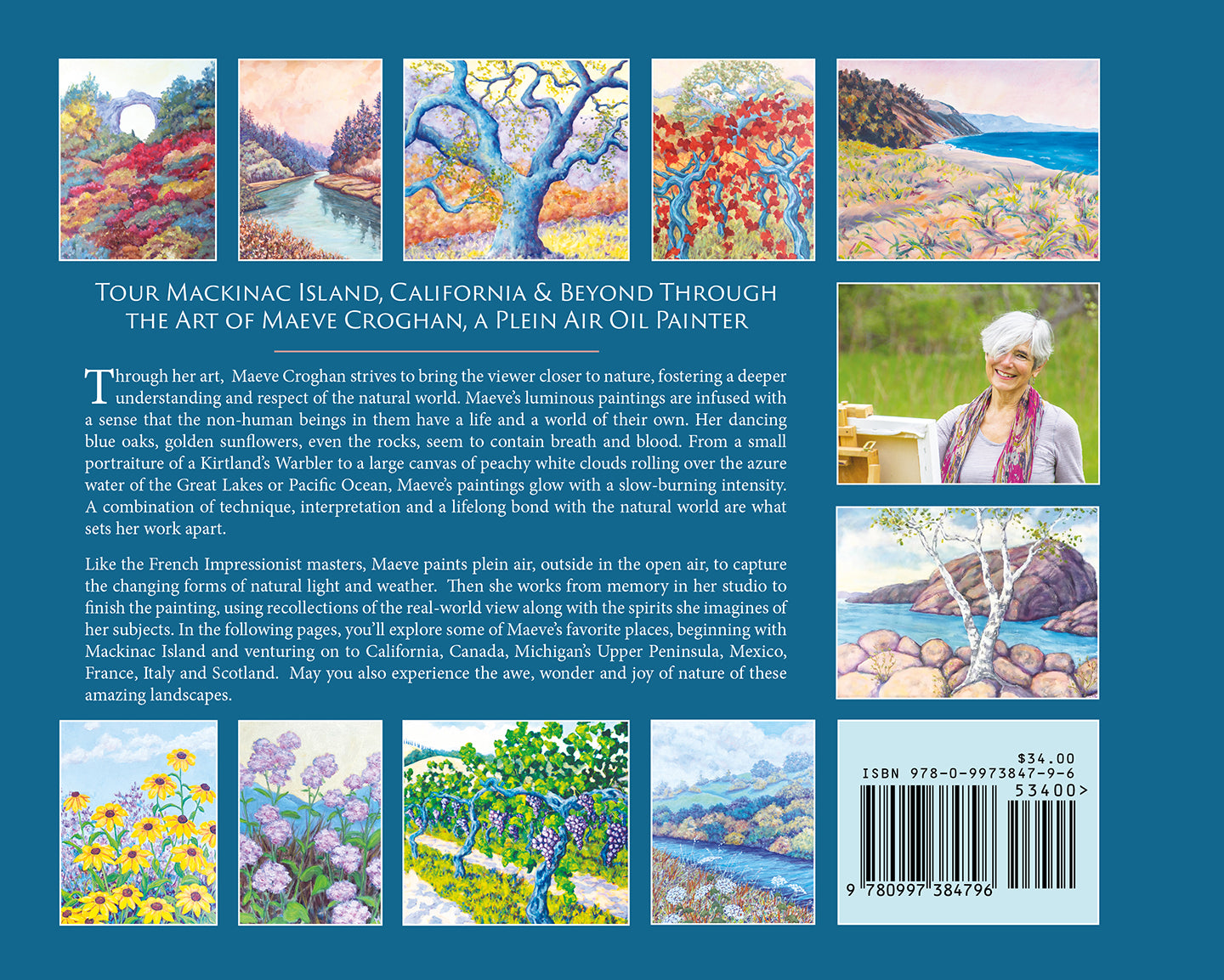 Luminous Landscapes Book