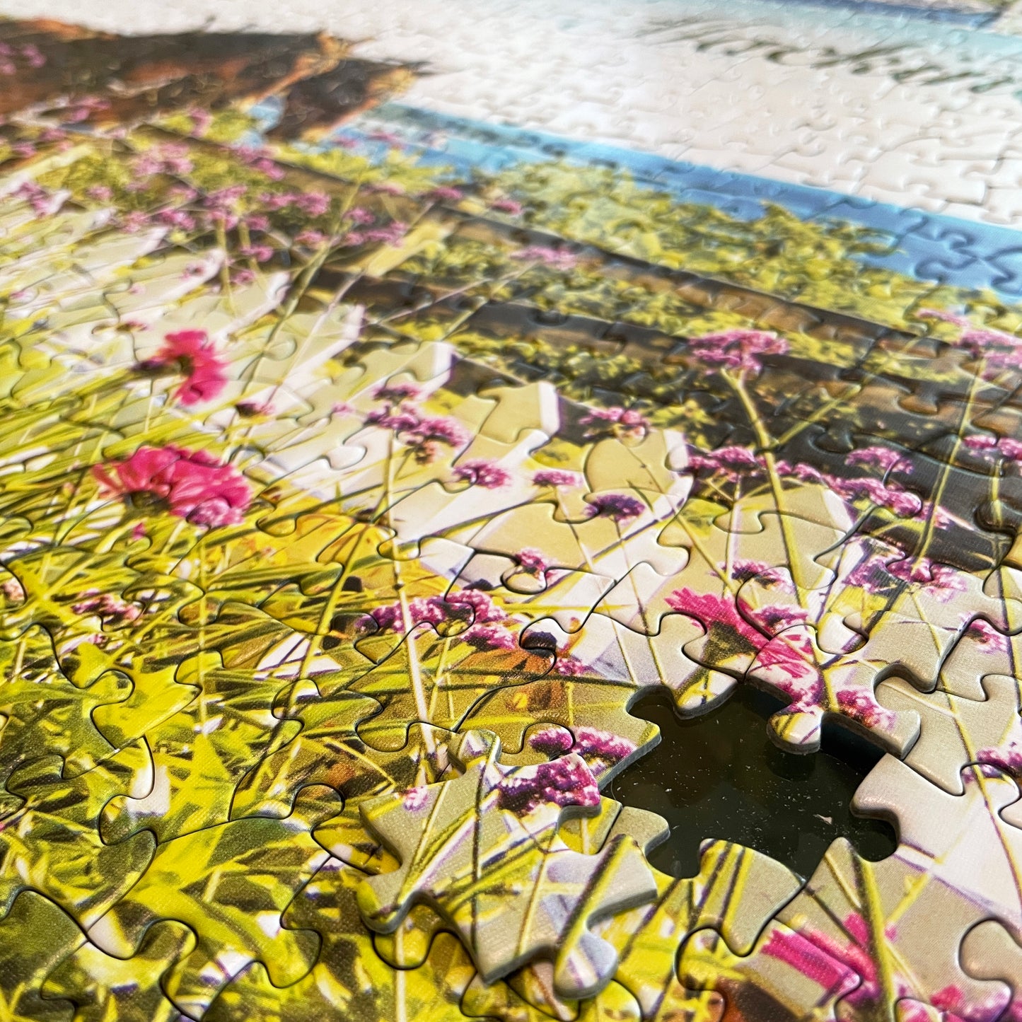 Iconic Scenes of Mackinac Island Puzzle