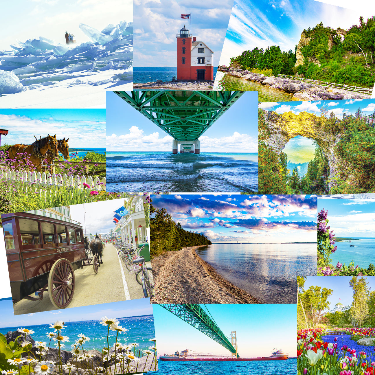 8 x 10 in. Mystery Photo