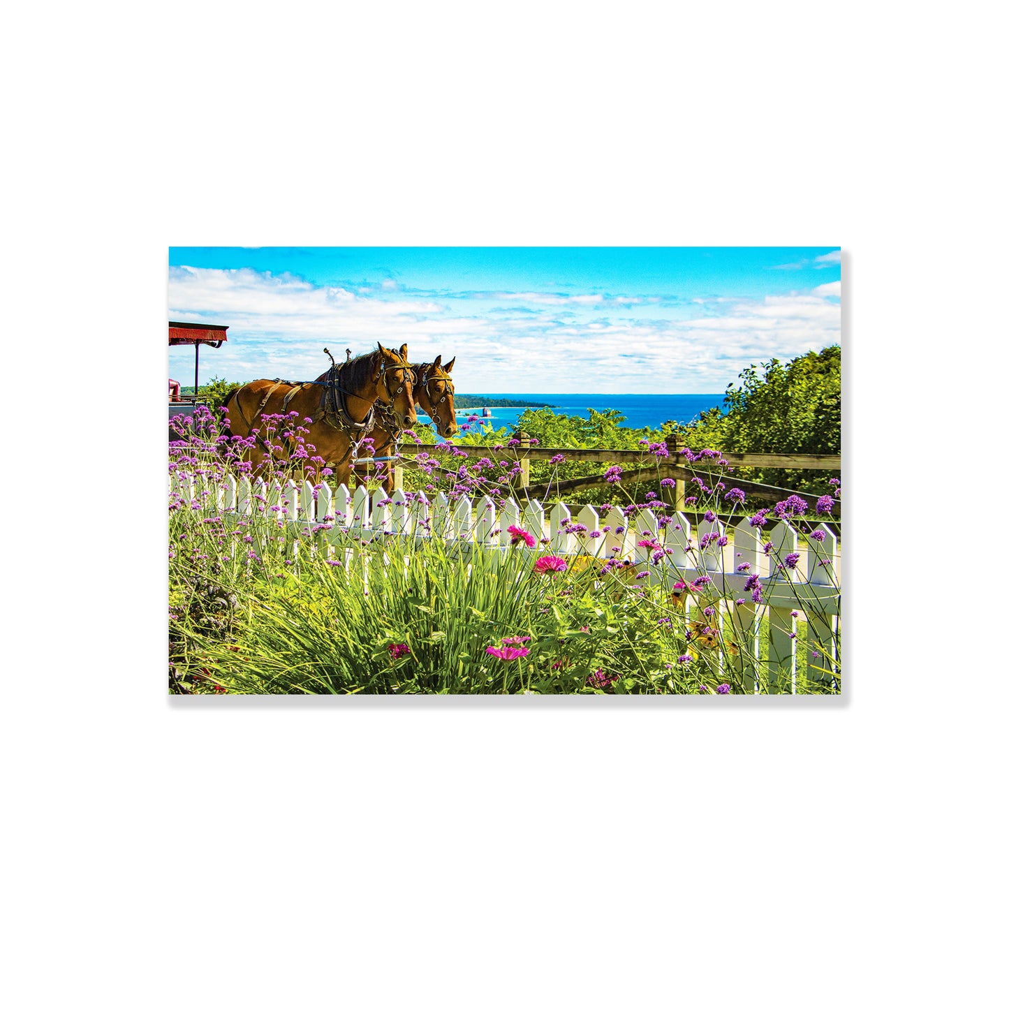 Mackinac Island Postcards