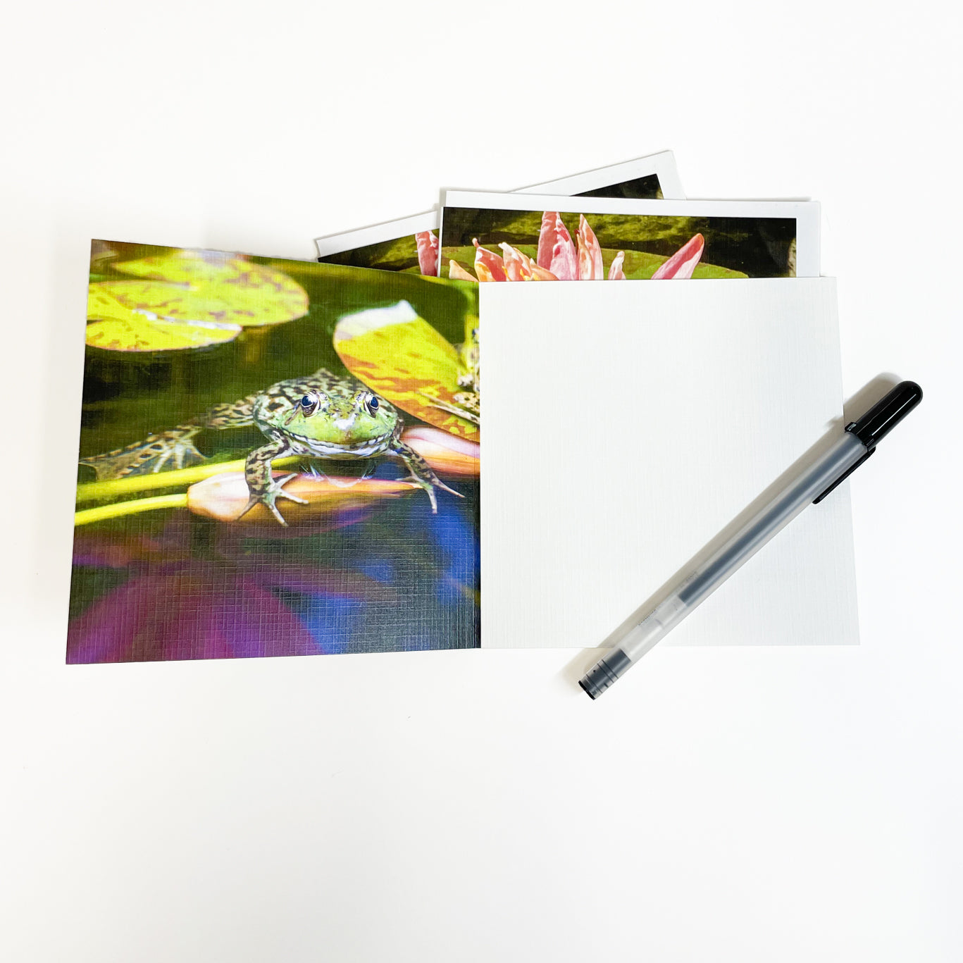 This colorful view of a frog resting on a lily pad recalls peaceful days of summer and the warmth of the sun. Open this casually elegant card to discover another image of the frog lounging in a pond on Mackinac Island. Water lilies are a symbol of purity and rebirth. Photography by Jennifer Wohletz.