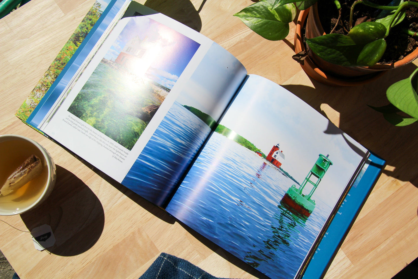 Four Seasons of Mackinac coffee table book by Jennifer Wohletz & Glen Young. Published by Mackinac Memories 184-pages, hard cover with a dust jacket.  A photoessay by Jennifer Wohletz with text by Glen Young.   Contributing photographers include:  Jennifer Wohletz, Mark Bearss, Kara Beth Nicholson, Mark Sawatzki, Jimmy Taylor, Katharine Rose Witt and Sara Wright.