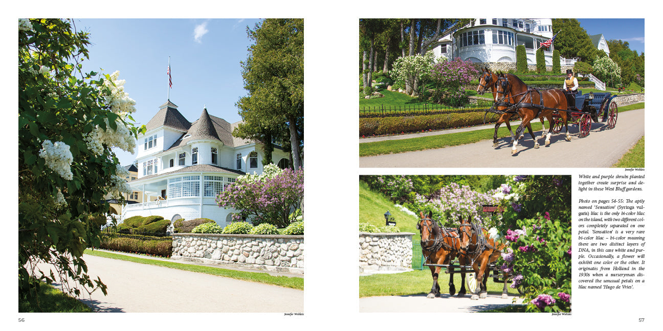 LILACS – A Fortnight of Fragrance on Mackinac Island, takes readers on a photographic tour of the iconic blooms unfolding all over Mackinac Island.