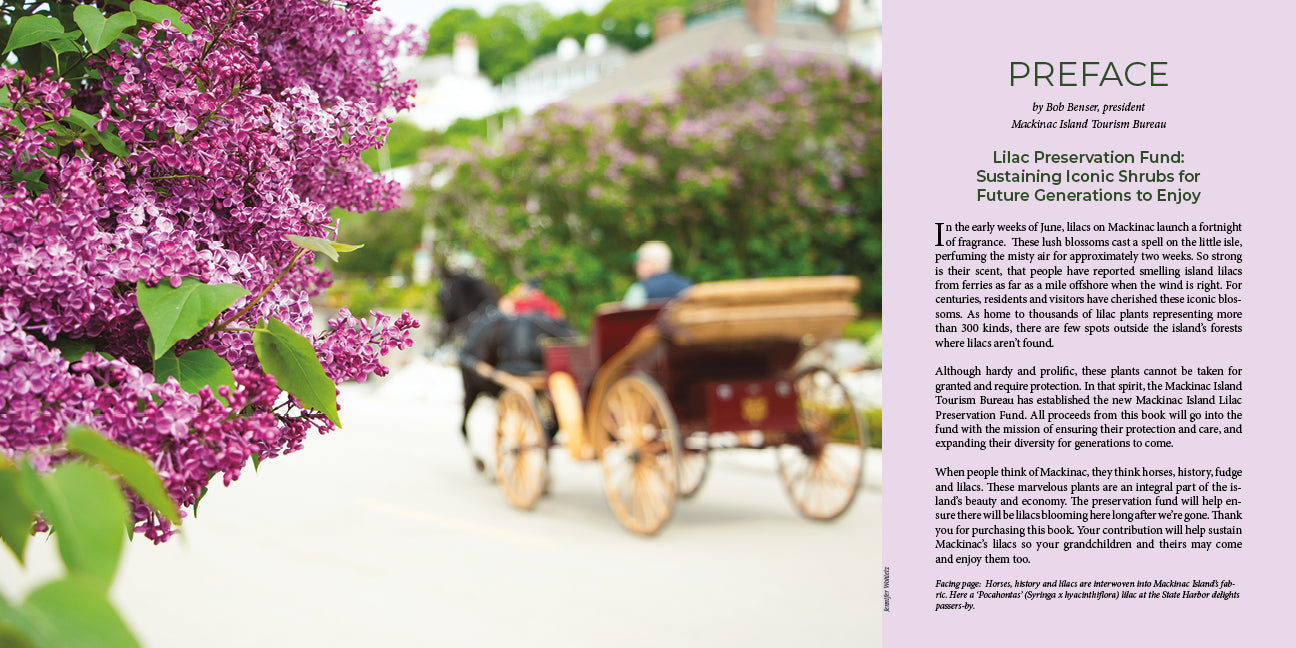 LILACS – A Fortnight of Fragrance on Mackinac Island, takes readers on a photographic tour of the iconic blooms unfolding all over Mackinac Island.