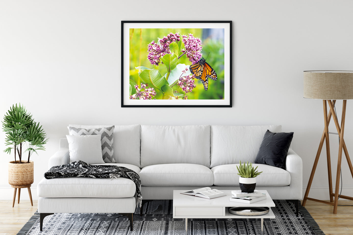 Monarch on Milkweed, a Monarch butterfly photograph by Jennifer Wohletz of Mackinac Memories.