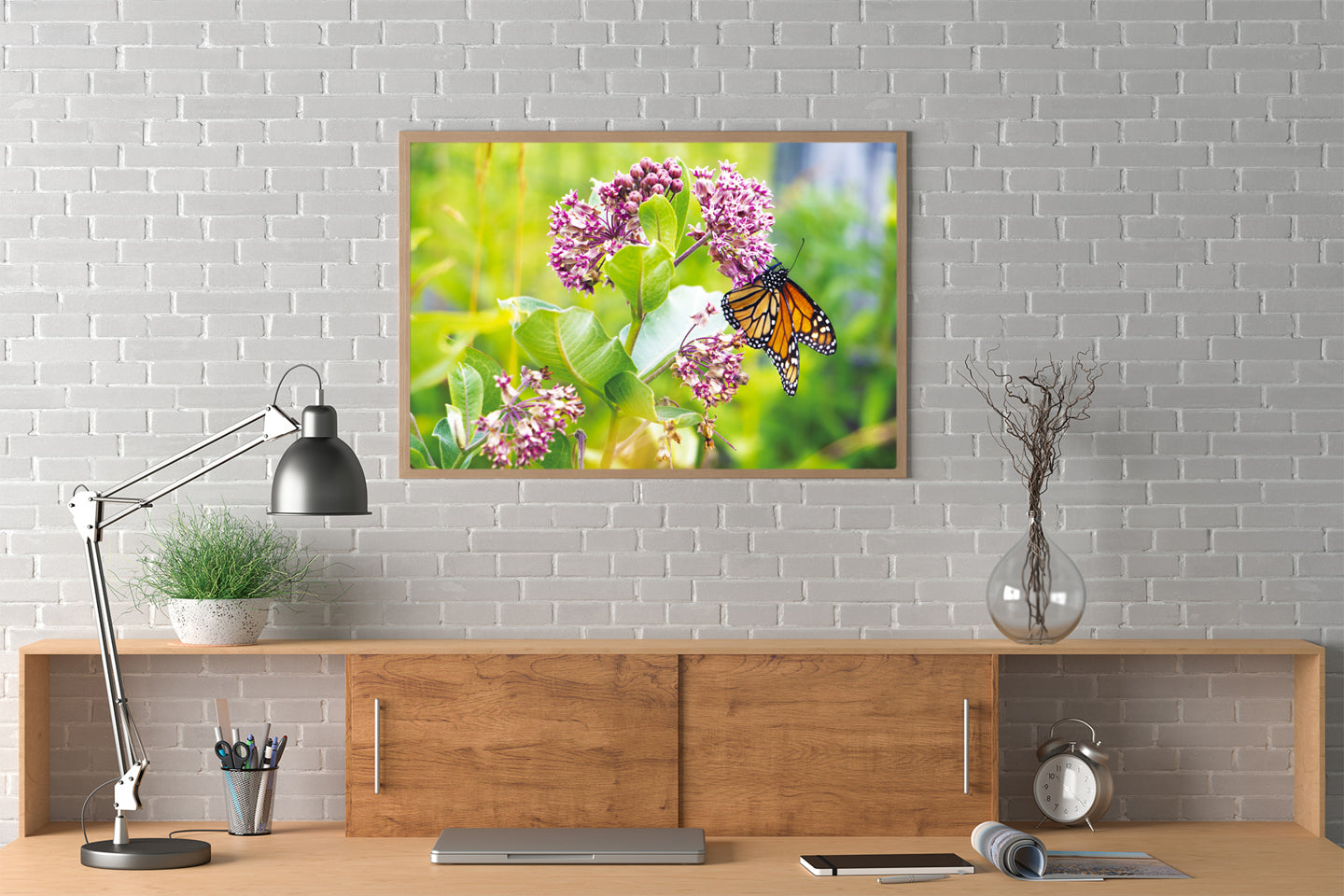 Monarch on Milkweed, a Monarch butterfly photograph by Jennifer Wohletz of Mackinac Memories.