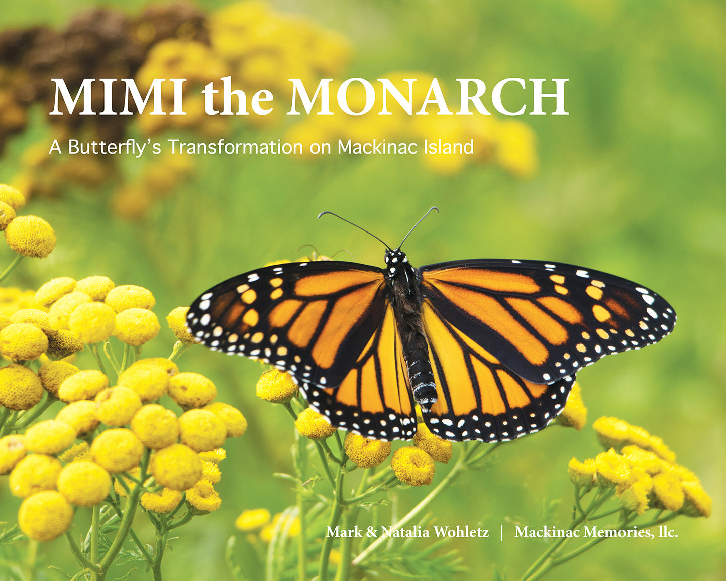 MIMI the Monarch, a children's science picture book, about the metamorphosis of a monarch butterfly on Mackinac Island, Mich. Text by Mark Wohletz. Field notes by Natalia Wohletz.