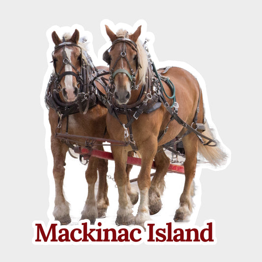 Mackinac Island horses sticker. This die cut vinyl sticker features a photo of a team of dray horses framed in the shape of the map of Mackinac Island. This die cut vinyl sticker features a photo of a team of dray horses on Mackinac Island.