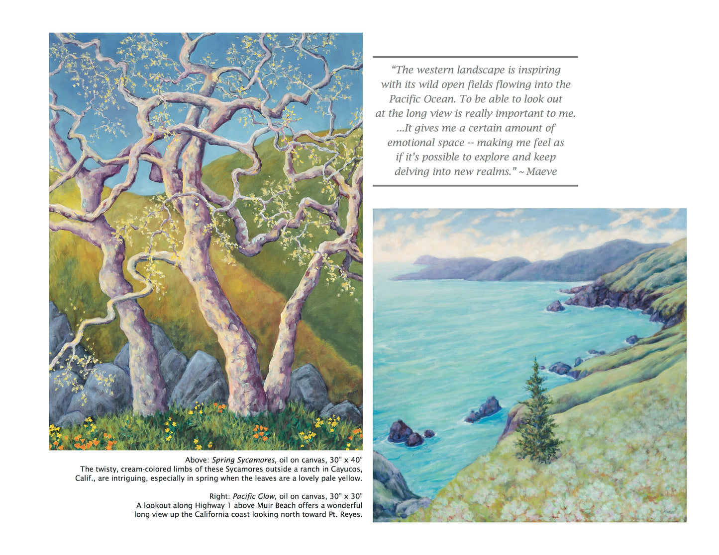 The Essence of Nature is an eye-catching coffee table book that's perfect for sharing your love of the island with friends and family. The book showcases a beautiful collection of luminescent oil paintings by Mackinac Island artist Maeve Croghan.