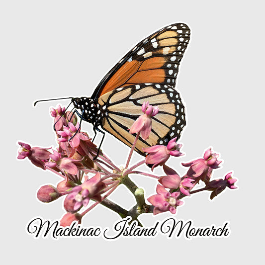 Die cut vinyl sticker features a photograph of a Monarch butterfly sipping nectar from a milkweed bloom on Mackinac Island.