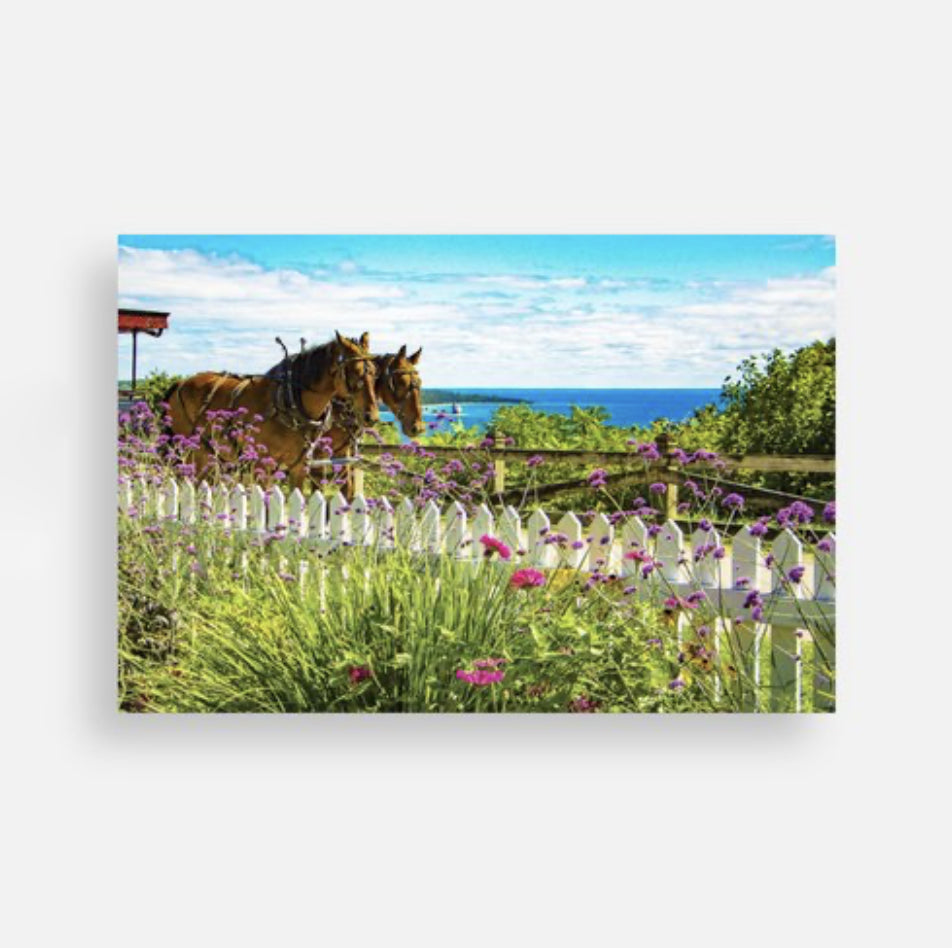 Mackinac Garden Gate Postcard