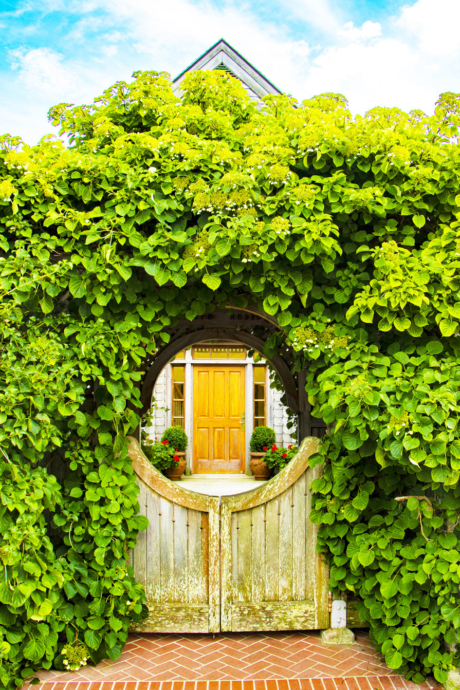 Geranium Garden Gate Photograph by Jennifer Wohletz of Mackinac Memories.