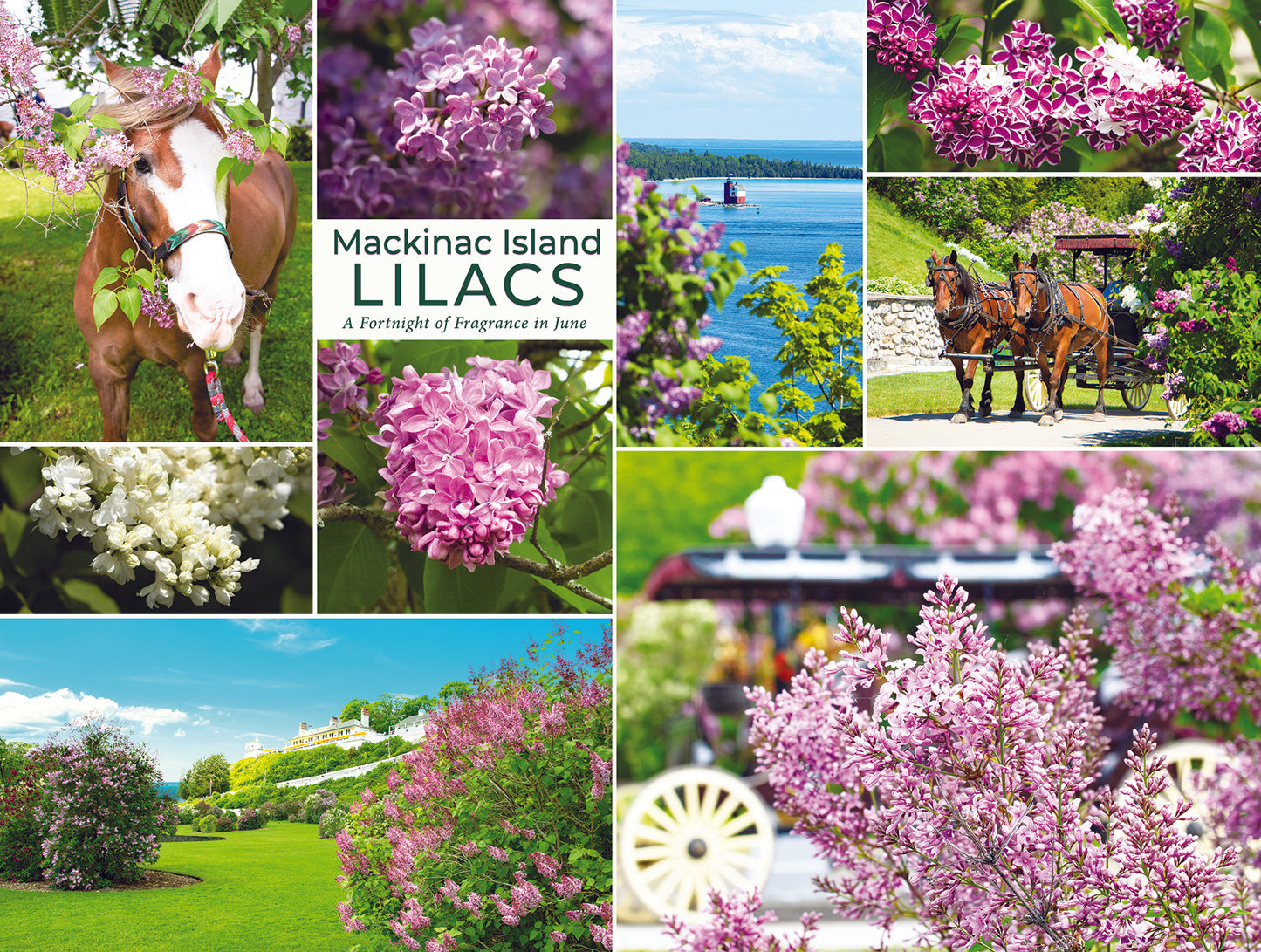 Lilacs Jigsaw Puzzle