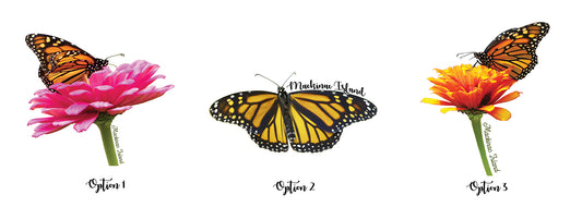 Custom Monarch Sticker