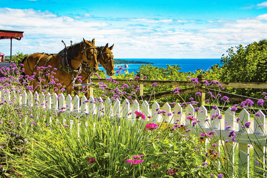 Mackinac garden view on the West Bluff overlooking Round Island and a team of horses.