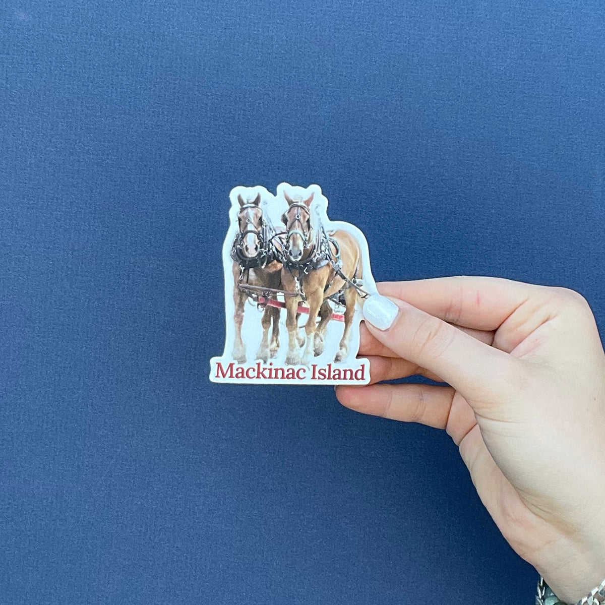Dray Horses Vinyl Sticker