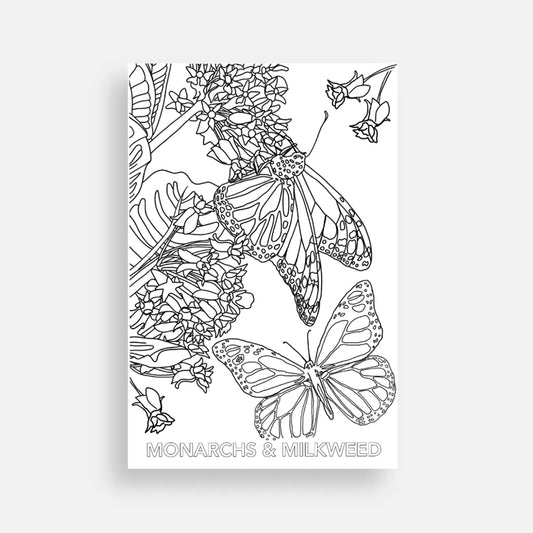  Monarch butterflies and milkweed postcard featuring a line drawing that's perfect for coloring.