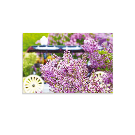 Lilac Time Postcard featuring a Mackinac Island carriage and lilacs.