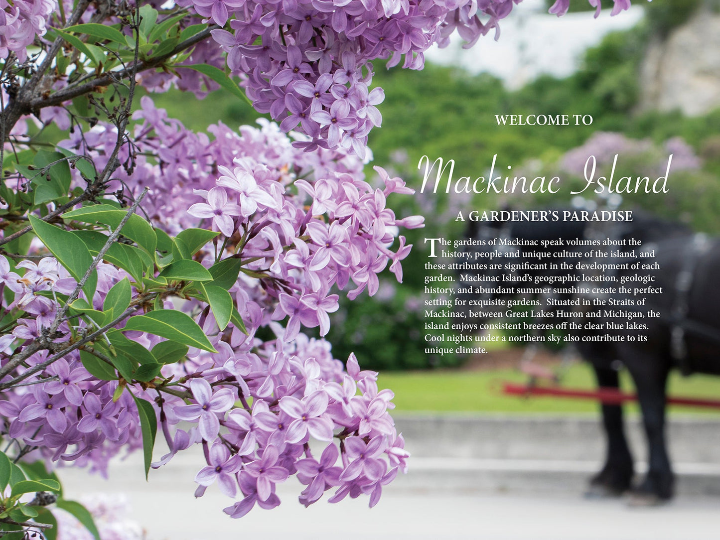 An Introduction to the Gardens of Mackinac Island Book by Jack Barnwell and Jennifer Wohletz.