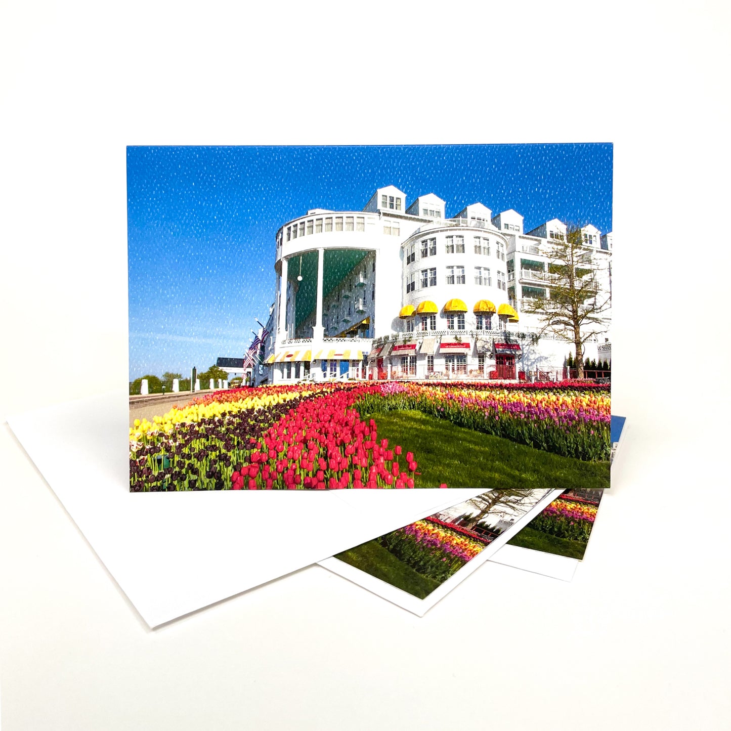 Blank greeting card featuring a photograph of tulips blooming at the Grand Hotel on Mackinac Island by local artist Jennifer Wohletz of Mackinac Memories. 
