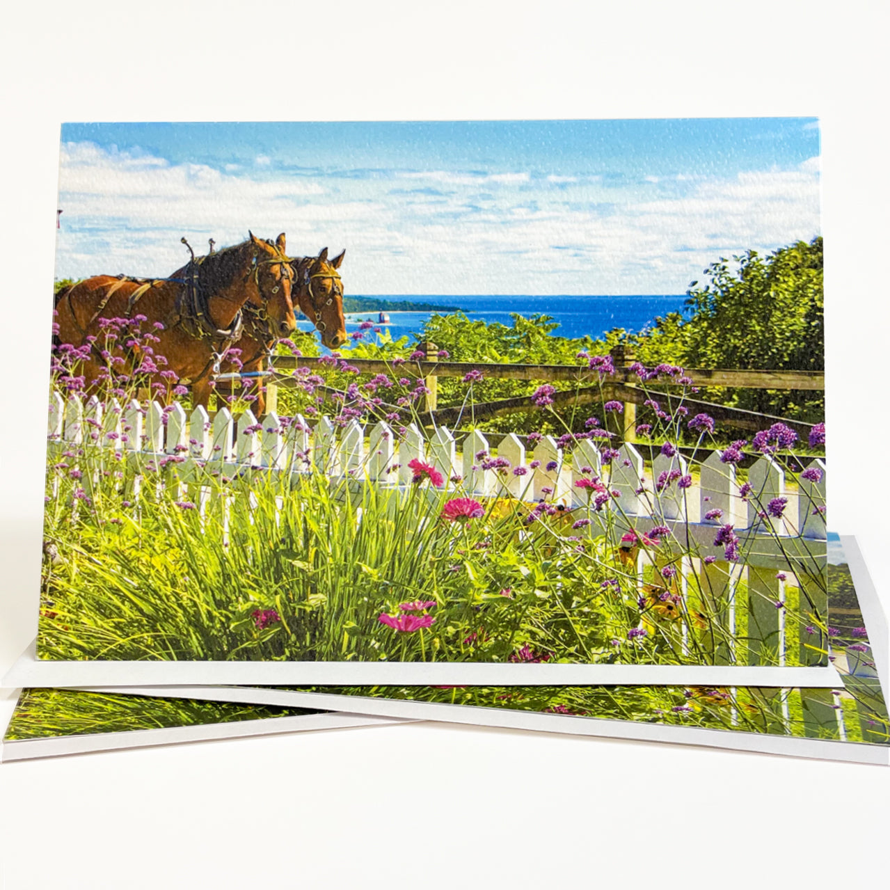 Blank greeting card featuring a photograph of a horse-drawn carriage on the West Bluff of Mackinac Island by local artist Jennifer Wohletz of Mackinac Memories. 