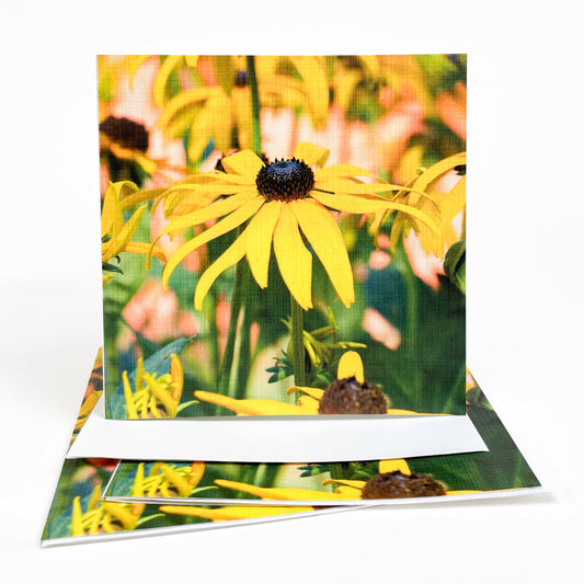 A cheerful Black-eyed Susan stands tall in a field of flowers on Mackinac Island, bringing joy to passersby.  Open this casually elegant card to discover more of the daisy-like flowers blooming brightly.  Black-eyed Susans are a hardy conflower that inspire both motivation and positive change. Photography by Jennifer Wohletz.  