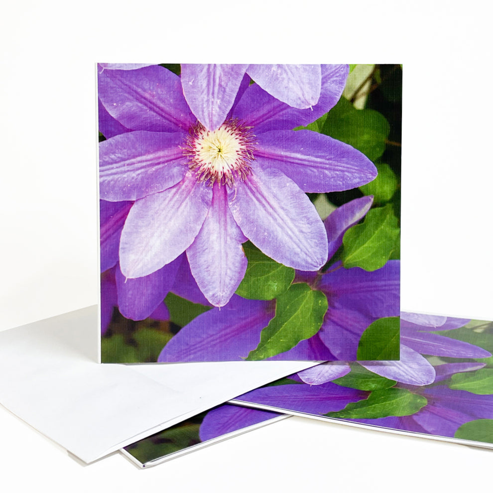 Clematis Greeting Card – Mackinac Memories