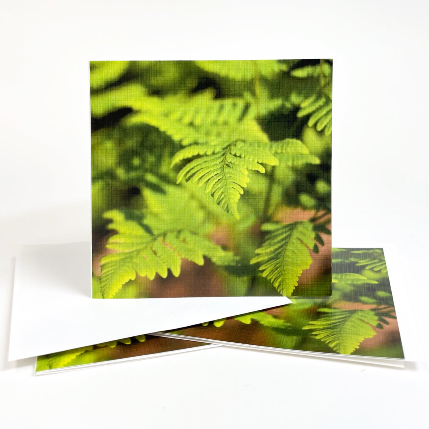 Fern carpet the forest floor of Mackinac Island where they conjure a sense of mystery along miles of quiet trails. Open this casually elegant card to discover another image of the shade-loving plants.  Ferns are a symbol of magic and secrets bonds of love. Photography by Jennifer Wohletz.  