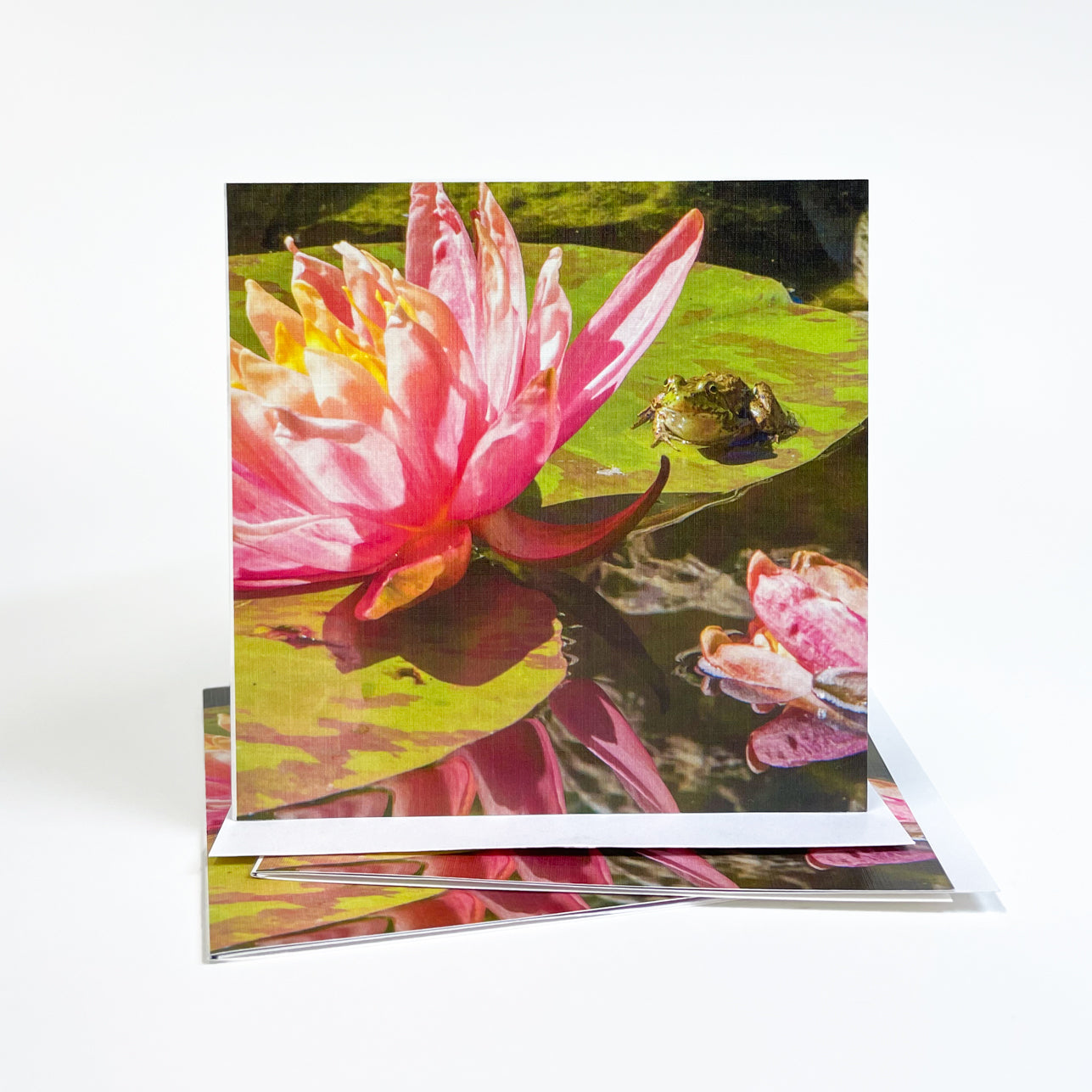 This colorful view of a frog resting on a lily pad recalls peaceful days of summer and the warmth of the sun. Open this casually elegant card to discover another image of the frog lounging in a pond on Mackinac Island.  Water lilies are a symbol of purity and rebirth. Photography by Jennifer Wohletz.  