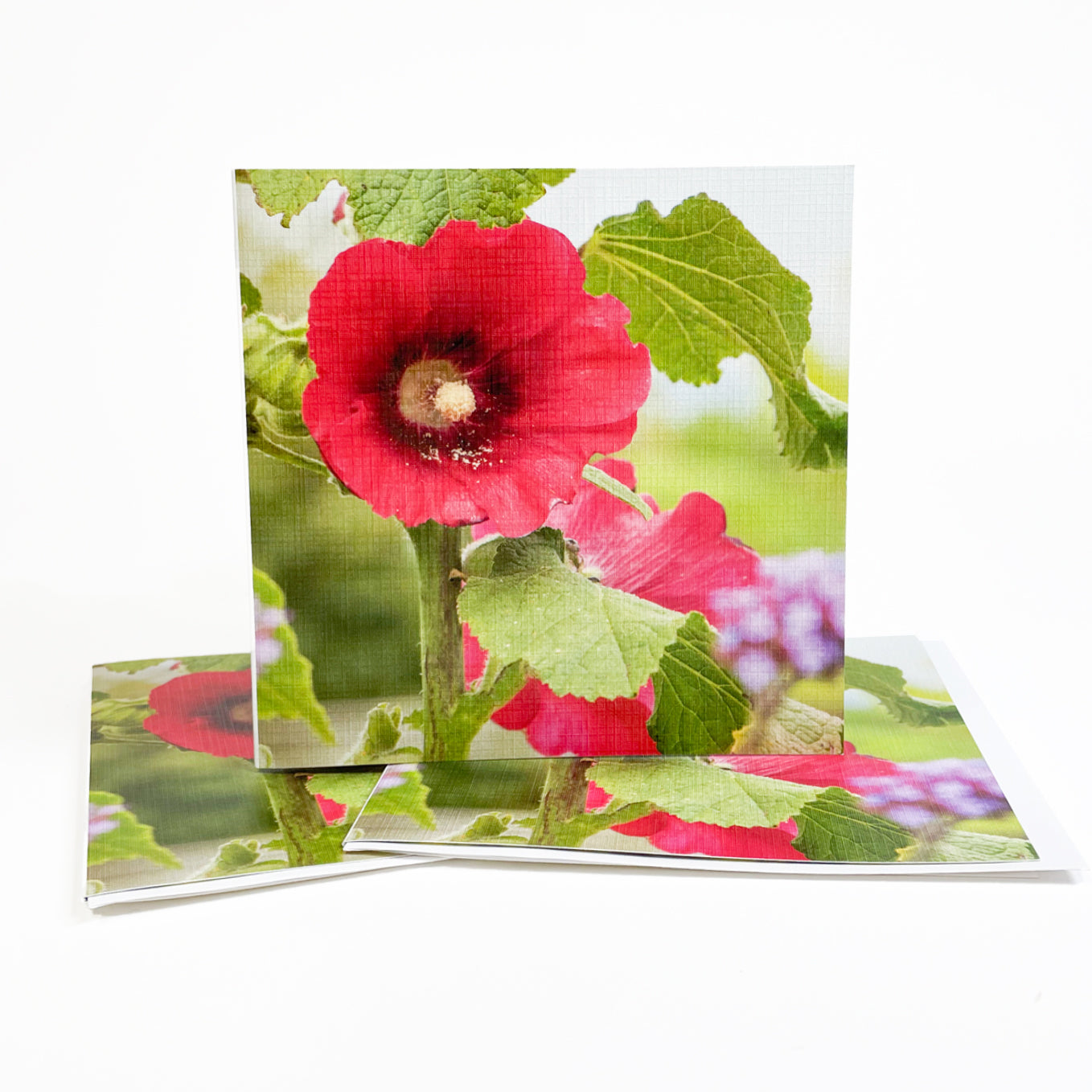 This lovely hollyhock standing tall by a picket fence in a cottage garden exemplifies the sense of timelessness visitors feel when visiting Mackinac Island, Michigan.  Open the card to observe an image of more of the mid-summer bloomers.  Hollyhocks are a symbol of ambition. Photography by Jennifer Wohletz.  The casually elegant card is meant to be shared or displayed as a work of art.  