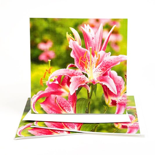 Blooming from early summer until early fall, fragrant pink lilies are as eye-catching, and equally elegant, as Mackinac's Victorian cottages.  Inside the card is an image of pink coneflowers thriving along with the lilies in a cottage garden.  Photography by Jennifer Wohletz. 