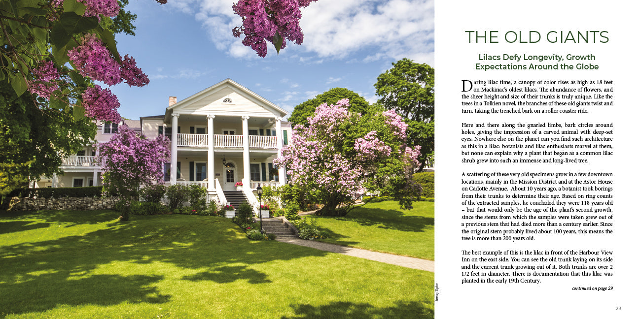 LILACS – A Fortnight of Fragrance on Mackinac Island, takes readers on a photographic tour of the iconic blooms unfolding all over Mackinac Island.