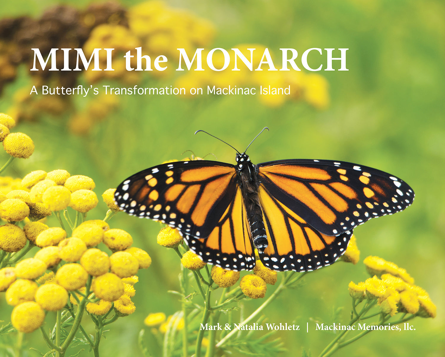 MIMI the Monarch, a children's science picture book, about the metamorphosis of a monarch butterfly on Mackinac Island, Mich.  Text by Mark Wohletz. Field notes by Natalia Wohletz.