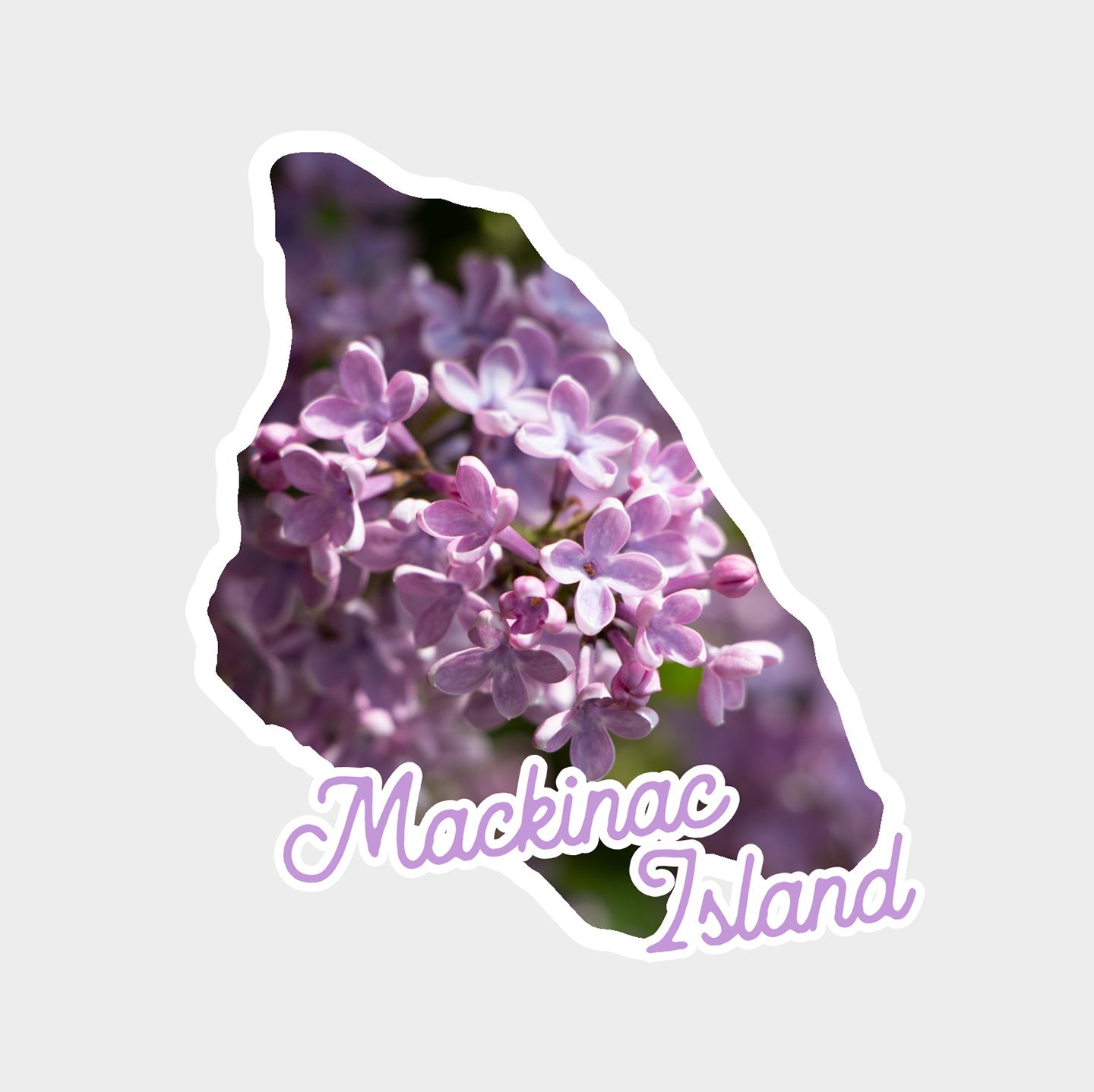This die cut vinyl sticker features lilacs framed in the shape of the map of Mackinac Island. 