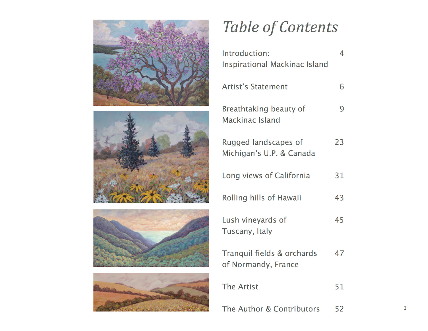 The Essence of Nature is an eye-catching coffee table book that's perfect for sharing your love of the island with friends and family. The book showcases a beautiful collection of luminescent oil paintings by Mackinac Island artist Maeve Croghan. 